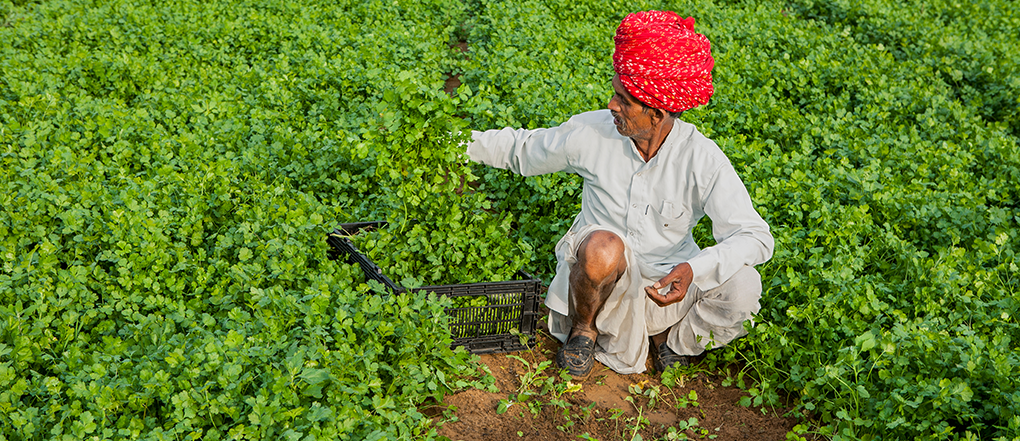 farmer